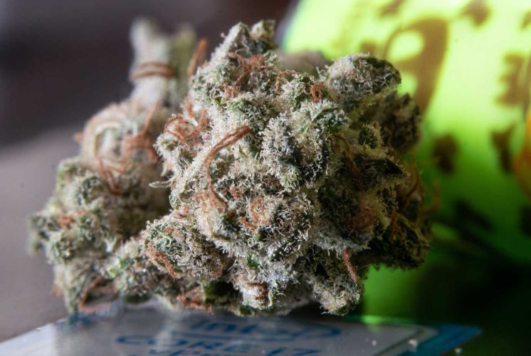 What are the Big Six Cannabinoids