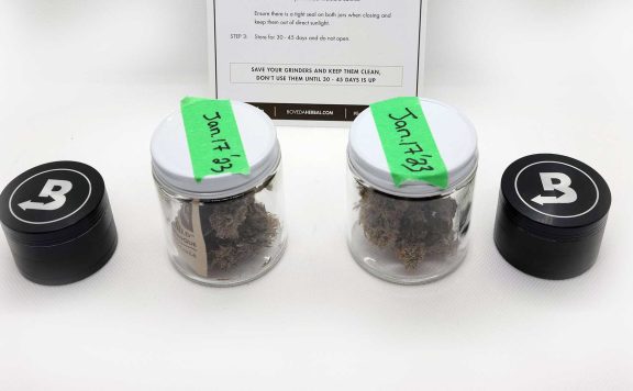 boveda humidity pack review boveda challenge 9 merry jade