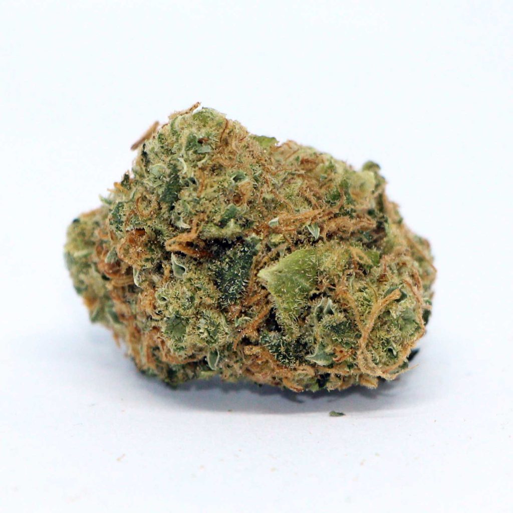 citizen stash jungle breath review cannabis photos 6 merry jade
