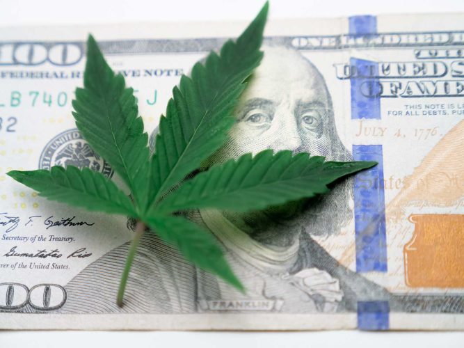 how much does cannabis cost