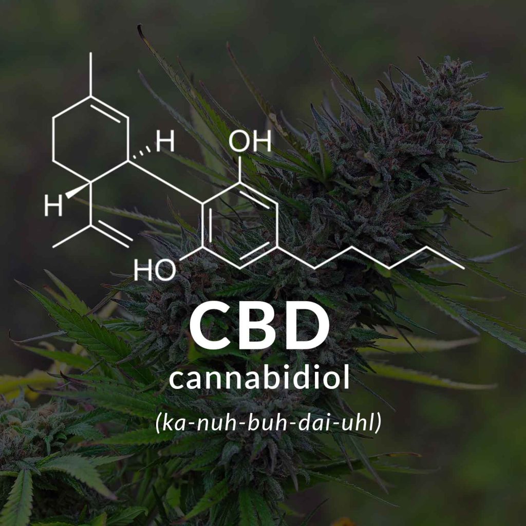 what is cbd
