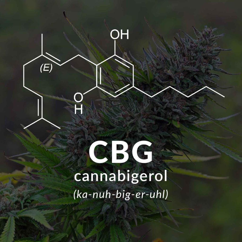what is cbg 1