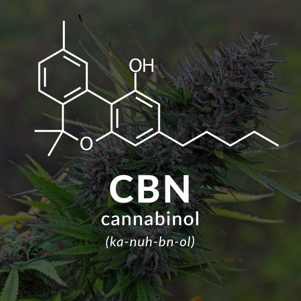 what is cbn 1