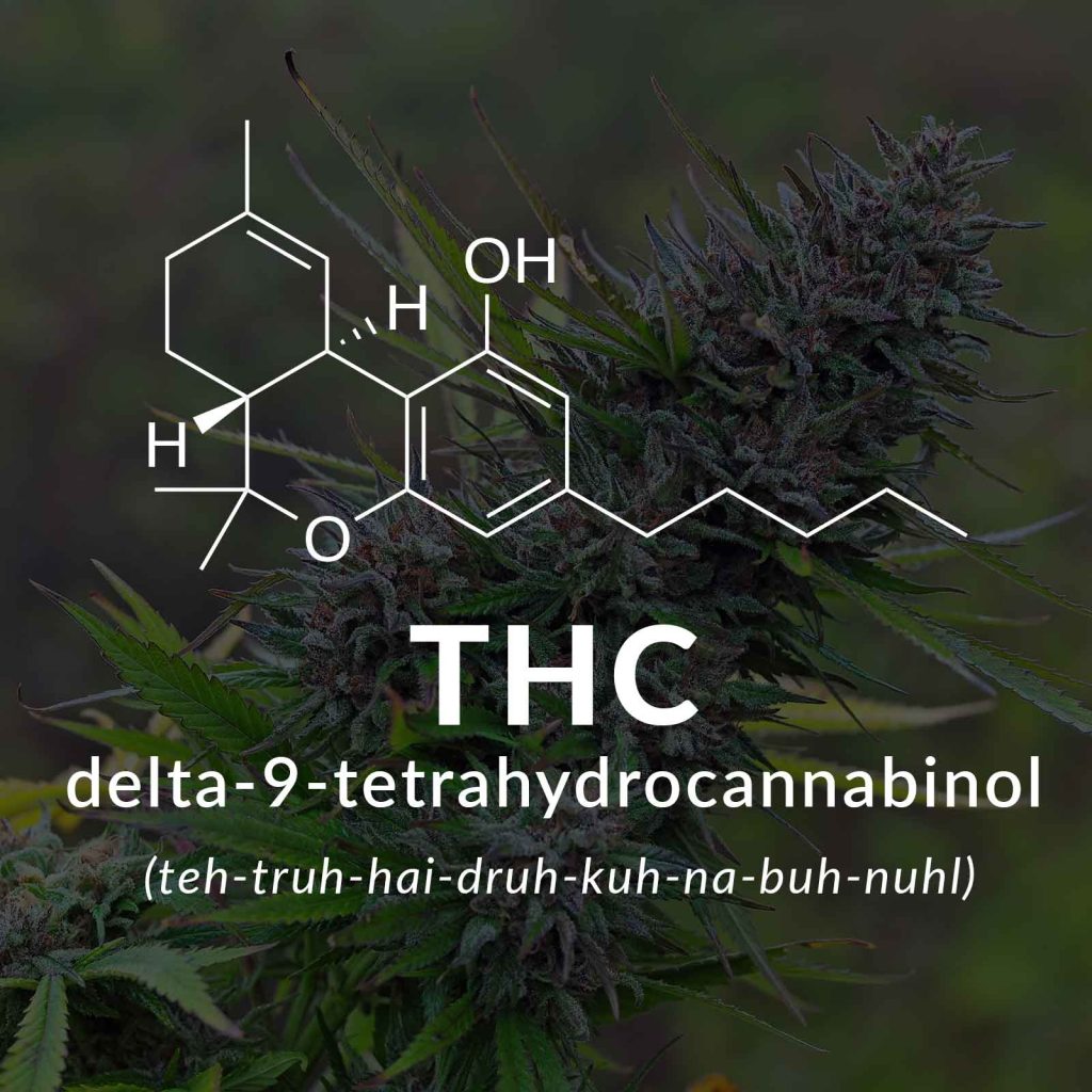 what is thc
