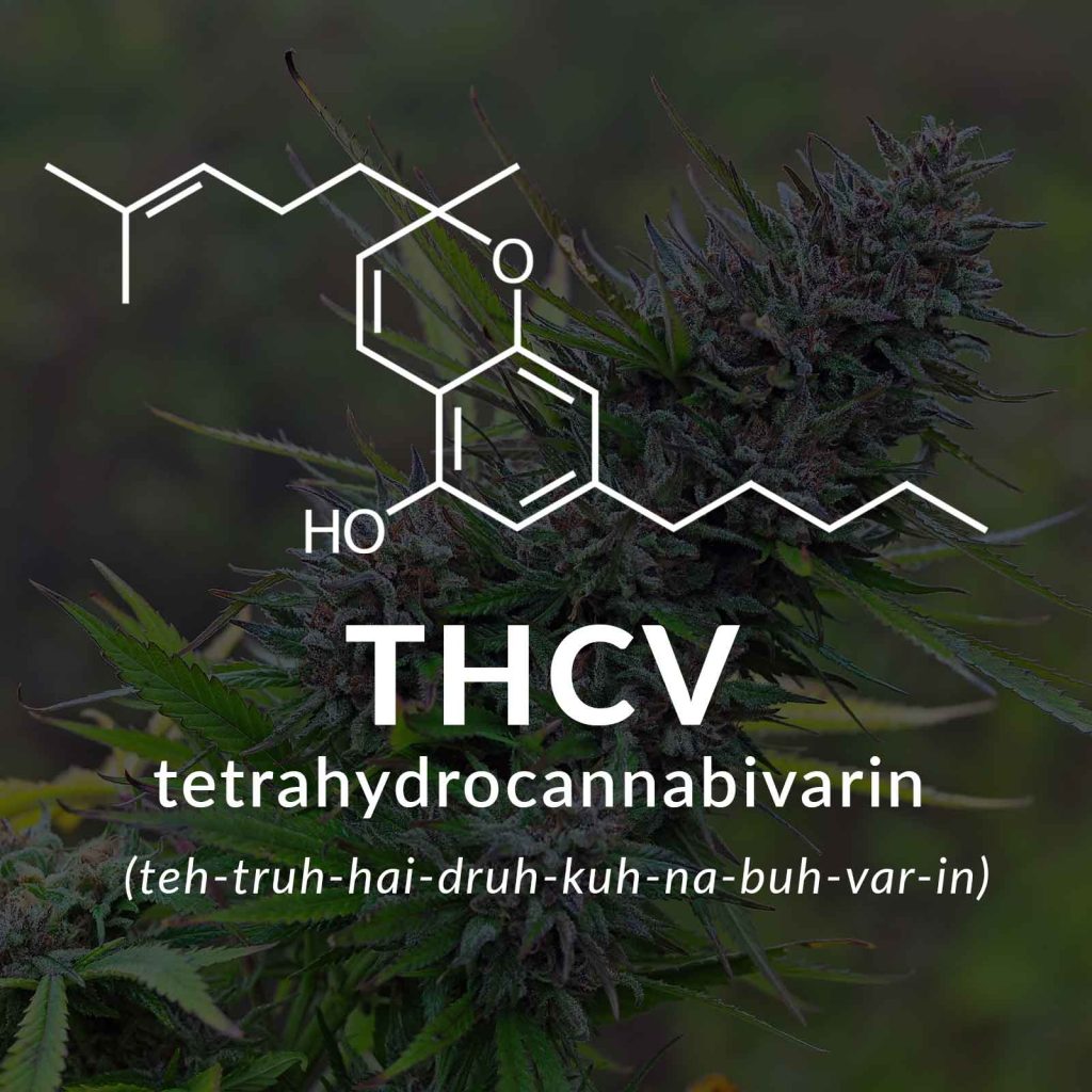 what is thcv