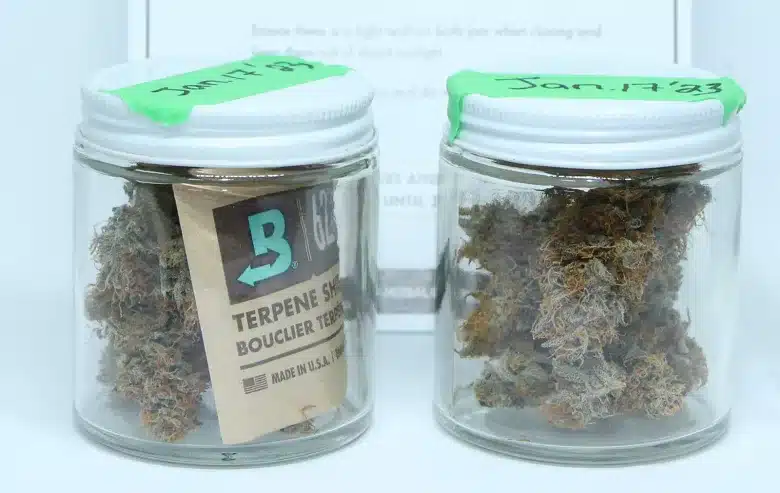 How to control humidity when storing cannabis