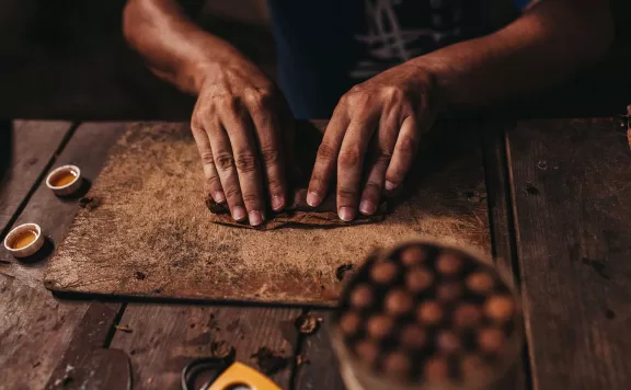 How to Roll a Blunt Step by Step Guide for Beginners