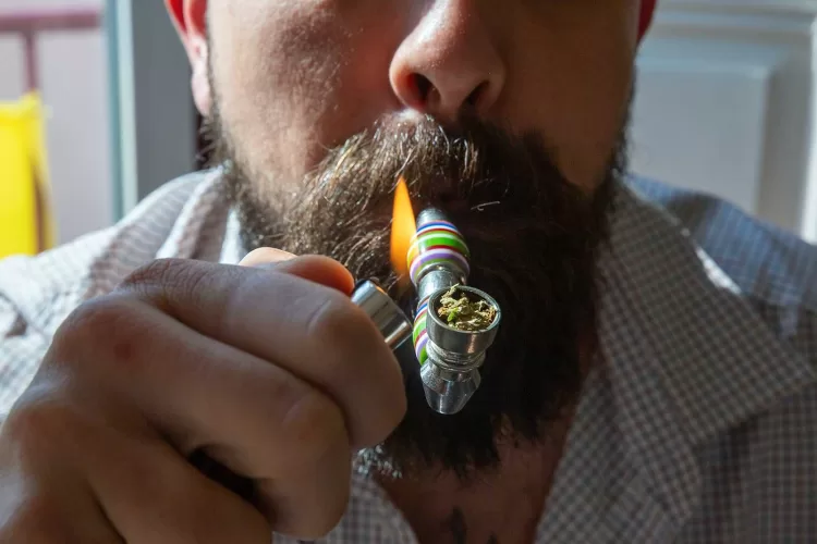 What is the Entourage Effect How Cannabis Compounds Work Together for Maximum Benefits