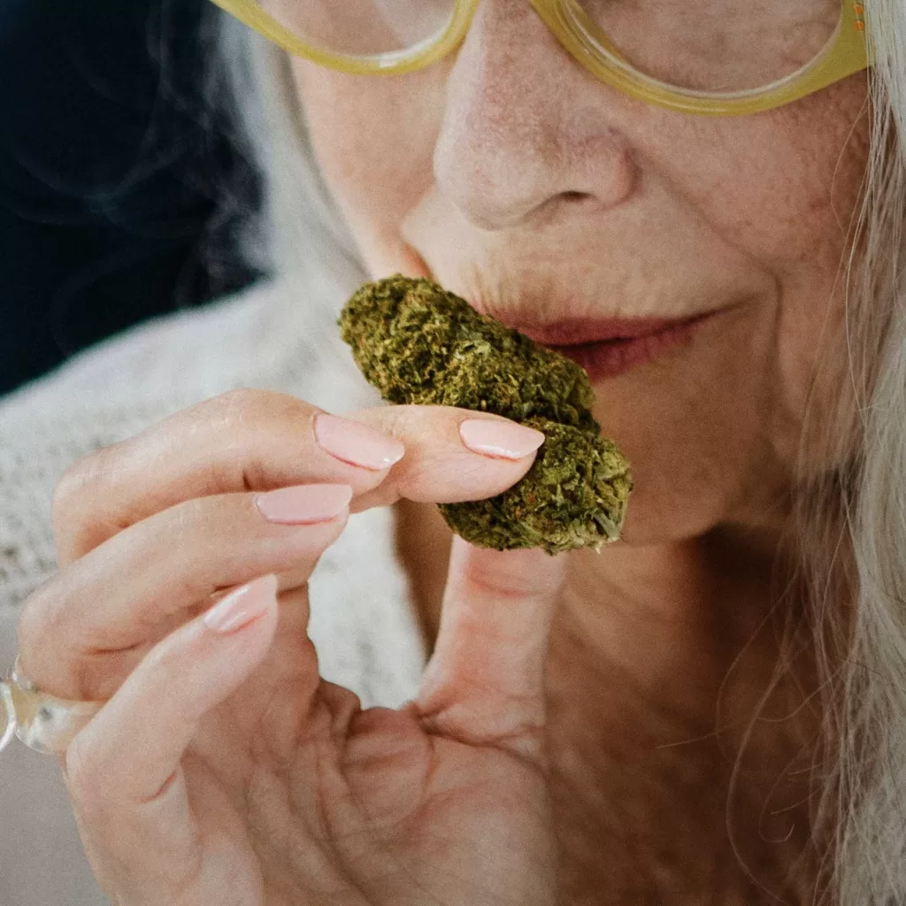 Evolutionary Advantage The Why Behind Cannabis Distinctive Aroma