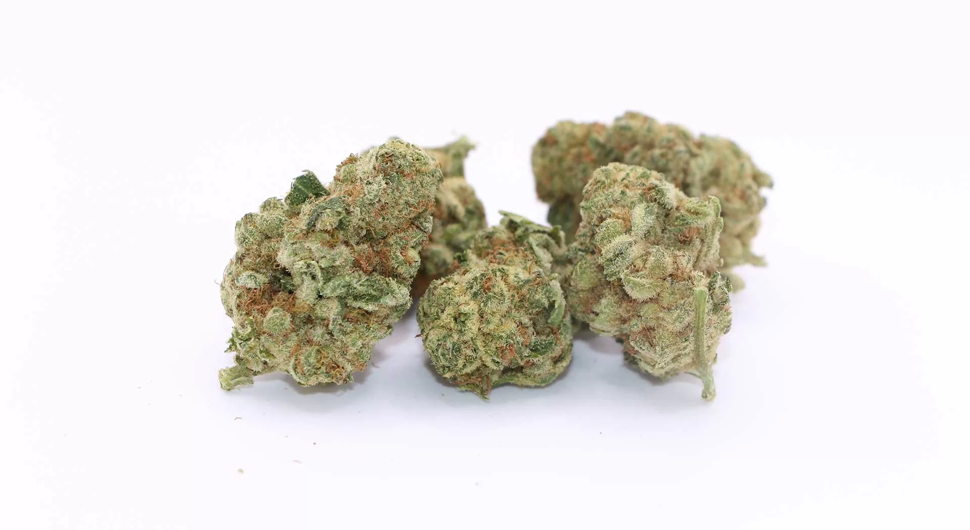 Parcel Sweet Notes Sundae Driver Review