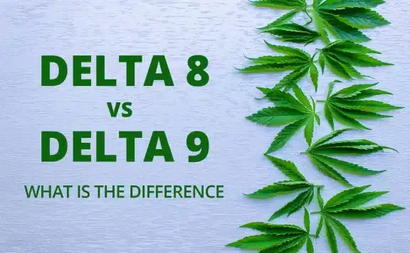 What Is The Difference Between Delta 8 and Delta 9